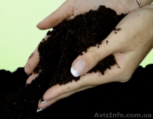 Продам торф разных видов (сертифицирован) #1067698