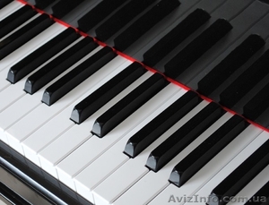Репетитор фортепиано и сольфеджио Харьков #1080861