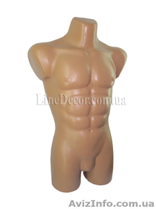 манекен мужской  #1083796