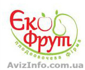 Экофрукт оптовая база #1093901