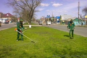 скосим покосим траву амброзию #1092789