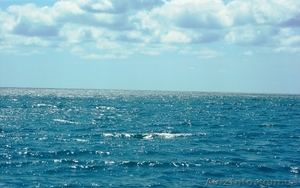 Отдых лето МОРЕ пляж #1091773