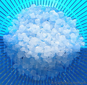 индийский морской рис харьков #1092199