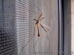 Москитные сетки,  цена от 149 грн. Акция,  скидки! #1092522