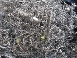 Купим металлическую стружку черных и цветных металлов. #1092223