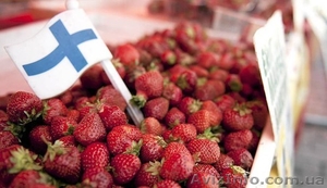 Работа в Финляндии #1091675