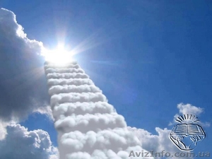 Школа бизнеса. Обучим и трудоустроим. Звоните. #1088104