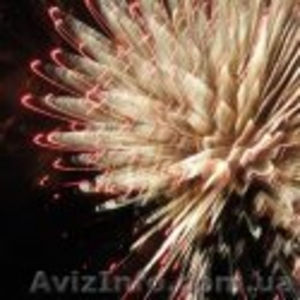 Заказать фейерверк Донецк #1090940