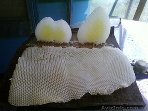 С пасеки для Вашего здоровья #1094718