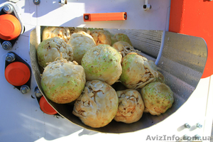  Полировщик (мойка) для овощей  #1091857