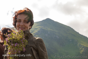 Экскурсионное бюро #1087278