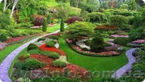 Курсы «Ландшафтный дизайн» #1089649