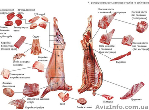 Куплю Баранину в Киеве #1087306