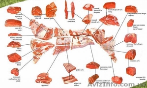 Куплю телятину в Кивеве #1087308