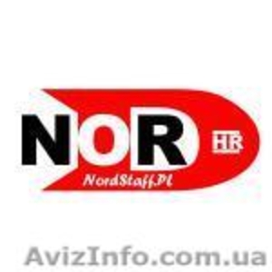 Образование в Польше #1087290