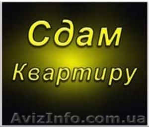 Сдаю свою 1к квартиру посуточно Москольцо #1089605