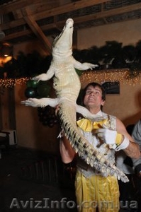 Цирковые номера на Ваш праздник Донецк #1090631