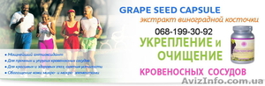 Экстракт виноградной косточки- Grape seed capsule (120 капс.)Тибемед. #1087015