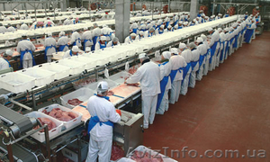 Бесплатное трудоустройство в Польше #1095111