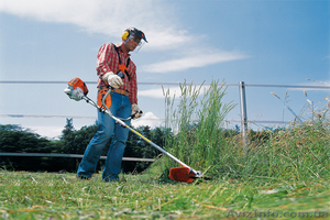 Стрижка газонов #1091030