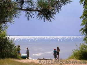 Отдых на Шацких озерах #1091123