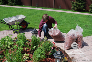 Уход за приусадебным участком. услуги садовника #1094199