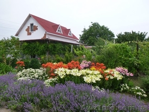 Продам усадьбу на берегу Черного моря #1083373