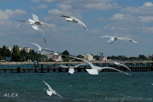 Отдых в Евпатории #1083678