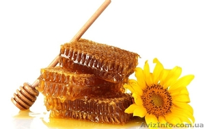 куплю мед оптом  #1098997