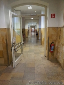 Окажу помощь в получении убежища и ПМЖ в Германии #1112018