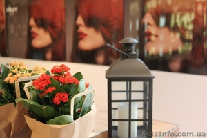 Парикмахер,  маникюр/педикюр #1105249