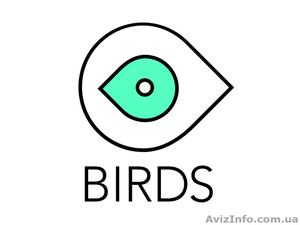 Производство креативных рекламных роликов #1099741