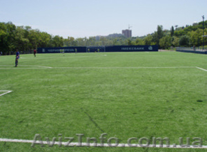 Футбольное поле с искусственным покрытием #1102589