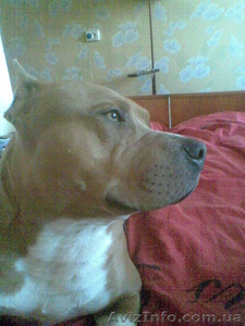 мальчик в активном поиске #1108484