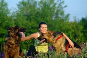 Крупные щенки немецкой овчарки #1102724