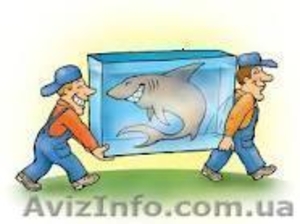 опытные грузчики+ авто #1101632