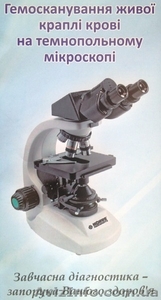 Обстеження організму,  Гемосканування,  Скрінінг,  Аналіз крові. #1110787