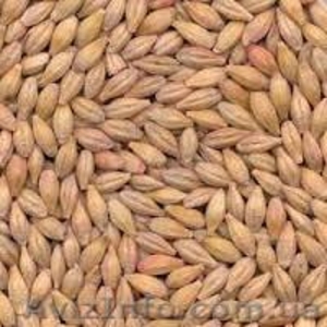 рапс,  пшеницу,  сою,  кукурузу,  ячмень,  подсолнечник #1111500