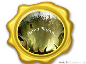 Обслуживание аквариумов,  прудов Харьков #1099347