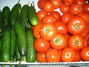 Овощи О П Т все сорта #1109975