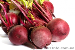 Продам свеклу раннюю #1105815