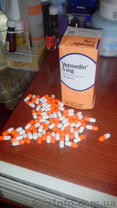 Ветмедин ветлекарство #1112711