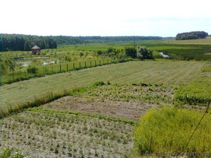 Продам отличный участок на берегу реки рядом с озером  #1105300