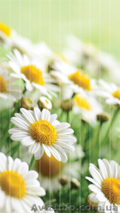 Фотожалюзи, жалюзи с фотопечатью #1125040