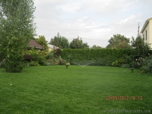 Живопліт. Жива огорожа #1123360