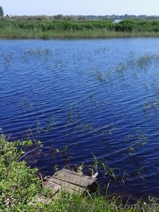 Відпочинок на природі. Здається будиночок #1114534