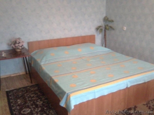 Сдам,  1 к. из. кв.,  ул. Социалистическая,  5 мин. м. Холодная гора #1115412