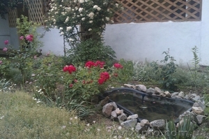 Азов. Генгорка. Отличный отдых от 40 грн. #1126239