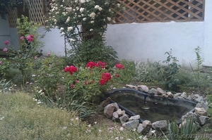 Летний отдых на Азове,  п.Генгорка,  рядом панс.Мелиоратор #907258