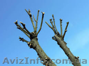  Обрезка (кронирование,  чистка деревьев) #1122223